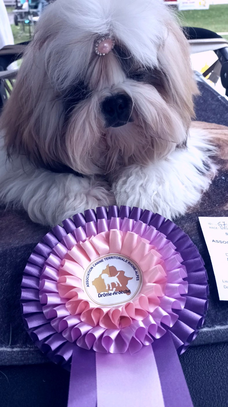 VANESSA Assamandri dites ABELLIA